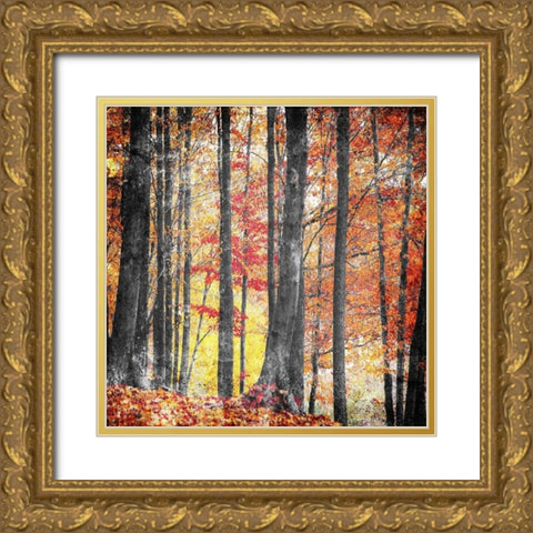 Fall In The Woods Gold Ornate Wood Framed Art Print with Double Matting by Villa, Mlli