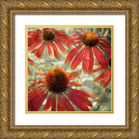 Three Flower Tops Gold Ornate Wood Framed Art Print with Double Matting by Villa, Mlli