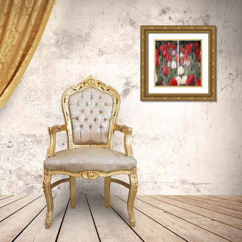 Red Flowers in a Group Gold Ornate Wood Framed Art Print with Double Matting by Villa, Mlli