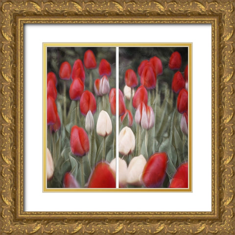 Red Flowers in a Group Gold Ornate Wood Framed Art Print with Double Matting by Villa, Mlli