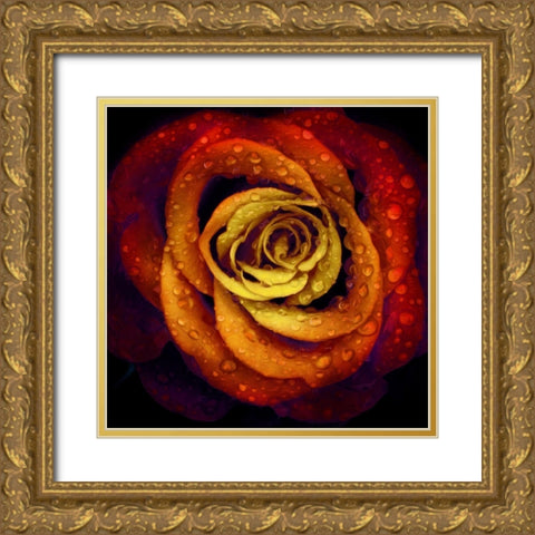 Bright Wet Rose Gold Ornate Wood Framed Art Print with Double Matting by Villa, Mlli