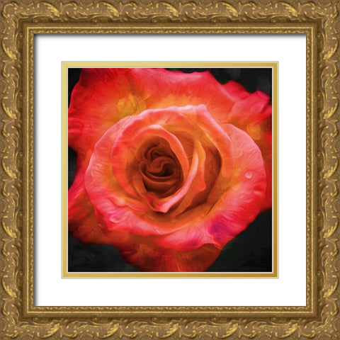 Burning Flower Gold Ornate Wood Framed Art Print with Double Matting by Villa, Mlli