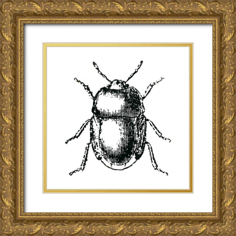 Bug Life Gold Ornate Wood Framed Art Print with Double Matting by Villa, Mlli