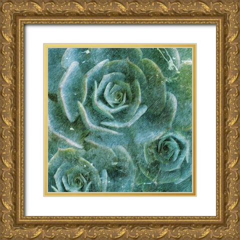 Three Succulents Gold Ornate Wood Framed Art Print with Double Matting by Villa, Mlli