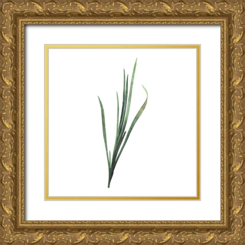 Green Leaves Two Gold Ornate Wood Framed Art Print with Double Matting by Villa, Mlli