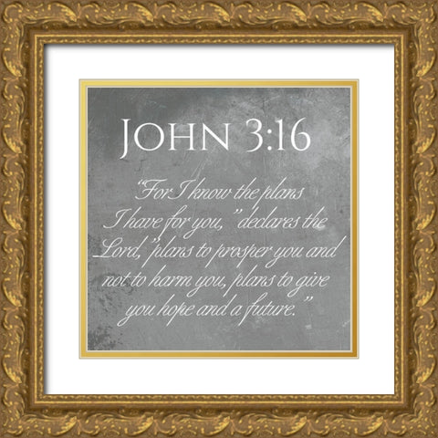 John 3:16 Gold Ornate Wood Framed Art Print with Double Matting by Villa, Mlli