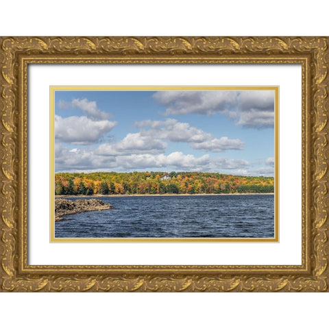 Lake View Gold Ornate Wood Framed Art Print with Double Matting by Orlando