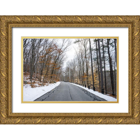 Cold Long Road Gold Ornate Wood Framed Art Print with Double Matting by Orlando