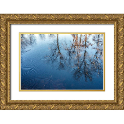 Reflect On Me Gold Ornate Wood Framed Art Print with Double Matting by Orlando