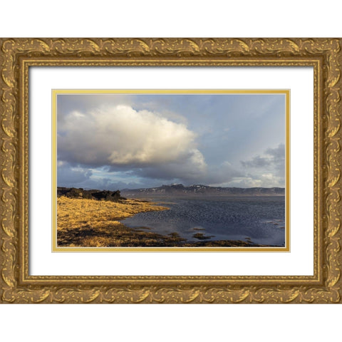 Drifter Gold Ornate Wood Framed Art Print with Double Matting by Orlando
