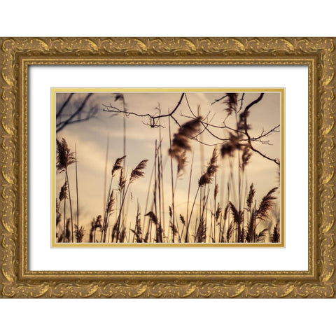 No Worries Gold Ornate Wood Framed Art Print with Double Matting by Orlando
