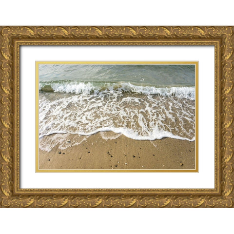 Ocean Waves Gold Ornate Wood Framed Art Print with Double Matting by Orlando