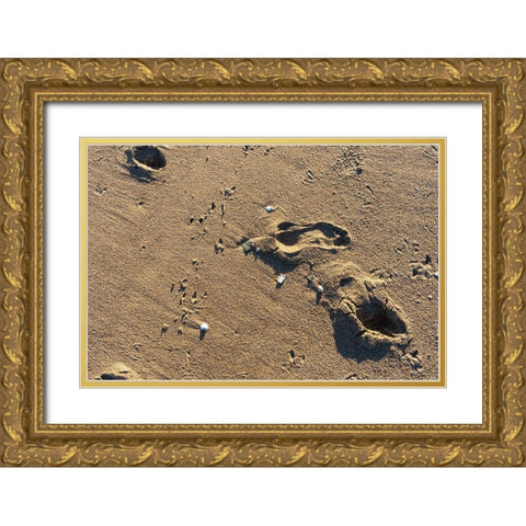 Foot Prints Gold Ornate Wood Framed Art Print with Double Matting by Orlando
