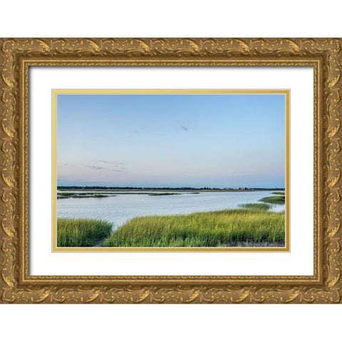 Summer Marsh Gold Ornate Wood Framed Art Print with Double Matting by Orlando