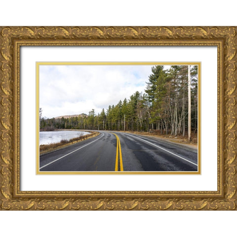 Divided Highway Gold Ornate Wood Framed Art Print with Double Matting by Orlando