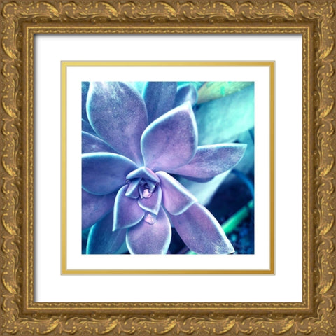 Succulent Dawn 2 Gold Ornate Wood Framed Art Print with Double Matting by Pearson, Debbie