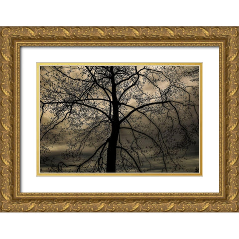 Conversation Of Earth Gold Ornate Wood Framed Art Print with Double Matting by DeLuca, Pat