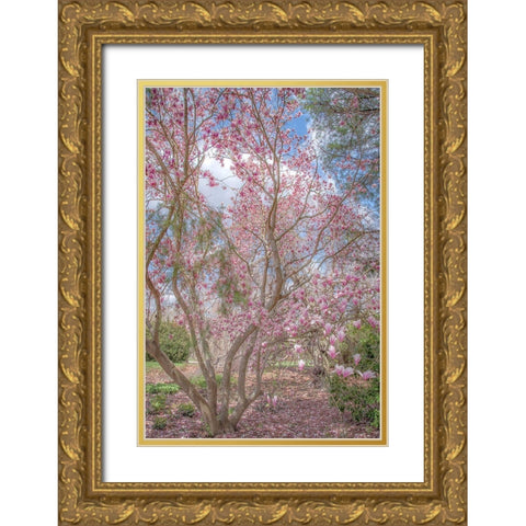 Switch Of Independence Gold Ornate Wood Framed Art Print with Double Matting by DeLuca, Pat