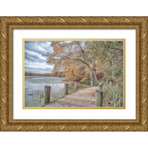 Blydenburg Park Gold Ornate Wood Framed Art Print with Double Matting by DeLuca, Pat
