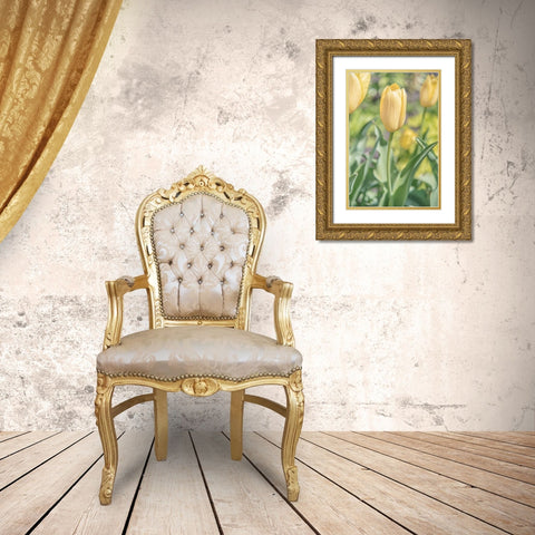 Obsequious Traditions Gold Ornate Wood Framed Art Print with Double Matting by DeLuca, Pat