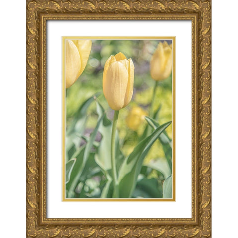 Obsequious Traditions Gold Ornate Wood Framed Art Print with Double Matting by DeLuca, Pat
