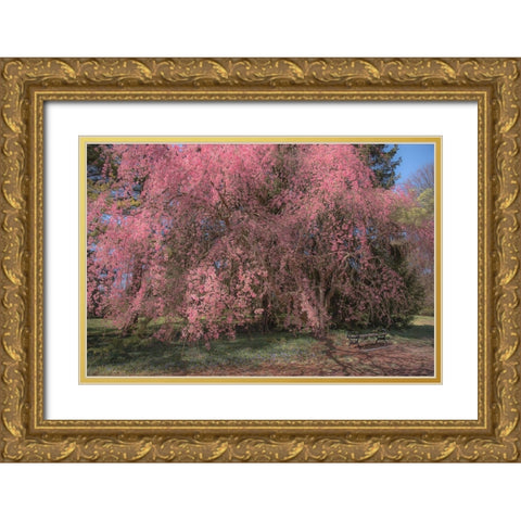 Spectacular Message Gold Ornate Wood Framed Art Print with Double Matting by DeLuca, Pat