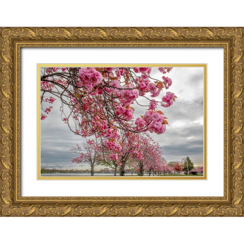 Spiritual Switch 1 Gold Ornate Wood Framed Art Print with Double Matting by DeLuca, Pat