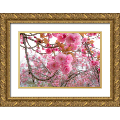 Spiritual Switch 2 Gold Ornate Wood Framed Art Print with Double Matting by DeLuca, Pat