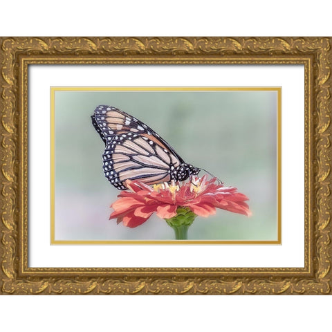 Pristine Desire 1 Gold Ornate Wood Framed Art Print with Double Matting by DeLuca, Pat