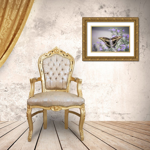 Pristine Desire 2 Gold Ornate Wood Framed Art Print with Double Matting by DeLuca, Pat