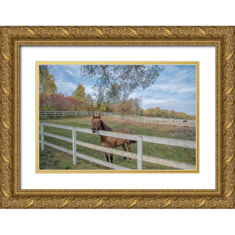 Perseverance Of Amazement Gold Ornate Wood Framed Art Print with Double Matting by DeLuca, Pat