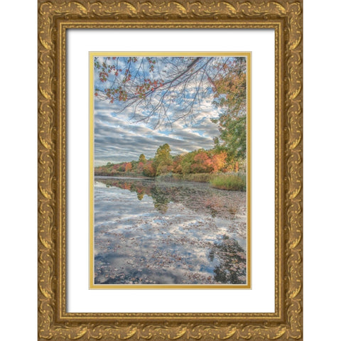 Bayport Fall Gold Ornate Wood Framed Art Print with Double Matting by DeLuca, Pat