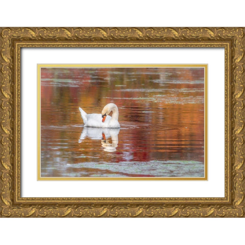 Mill Pond October Gold Ornate Wood Framed Art Print with Double Matting by DeLuca, Pat