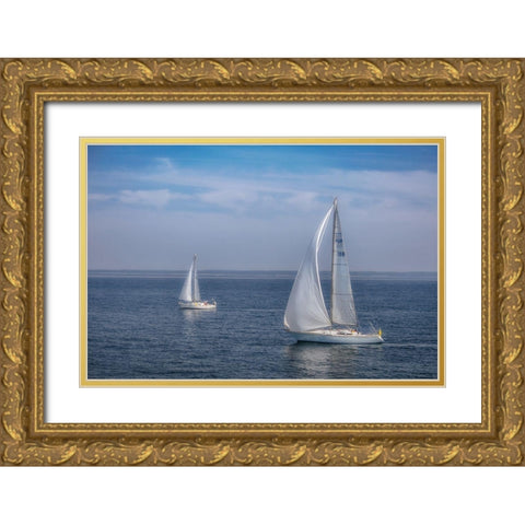 Sail Boats Gold Ornate Wood Framed Art Print with Double Matting by DeLuca, Pat