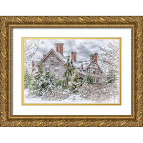 Aboretum December 1 Gold Ornate Wood Framed Art Print with Double Matting by DeLuca, Pat