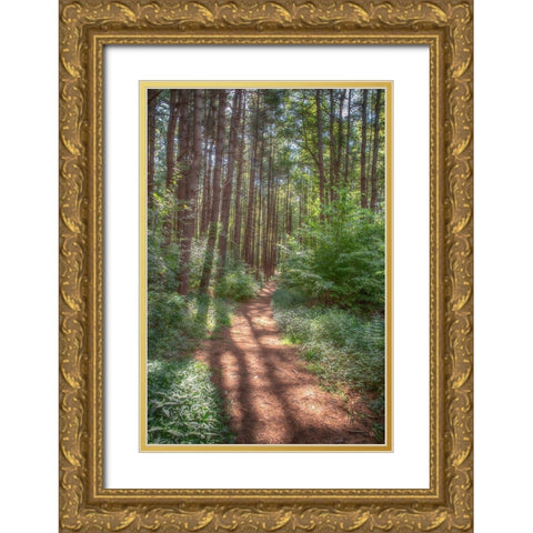 Hollow Fall Gold Ornate Wood Framed Art Print with Double Matting by DeLuca, Pat