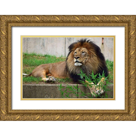Brilliant Direction Gold Ornate Wood Framed Art Print with Double Matting by DeLuca, Pat