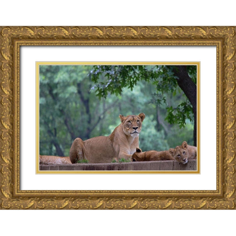 Pride Of Purpose Gold Ornate Wood Framed Art Print with Double Matting by DeLuca, Pat