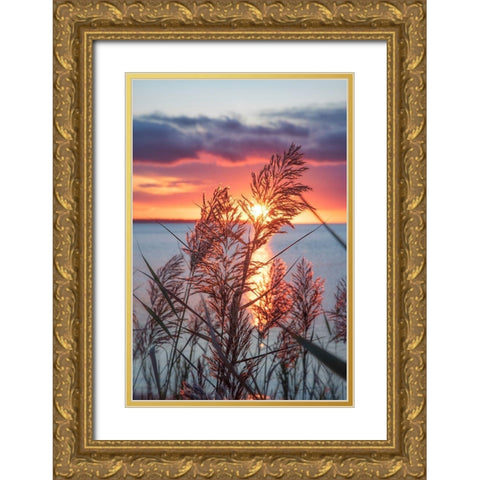Exhilarated Potential Gold Ornate Wood Framed Art Print with Double Matting by DeLuca, Pat