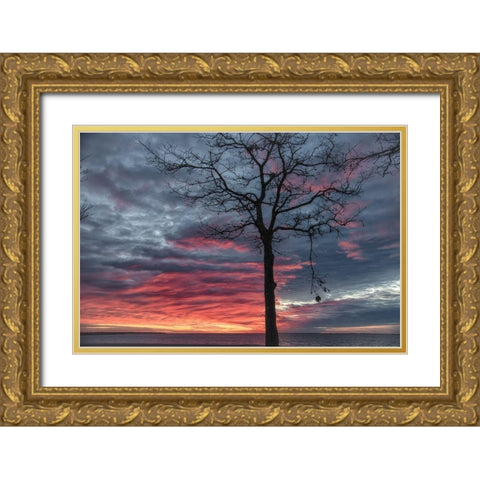 Distorted Solution Gold Ornate Wood Framed Art Print with Double Matting by DeLuca, Pat