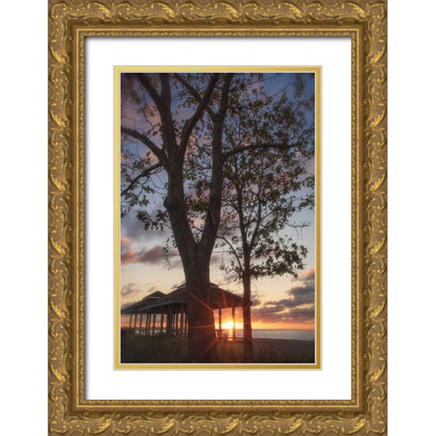 Fragile Shadows Gold Ornate Wood Framed Art Print with Double Matting by DeLuca, Pat