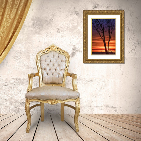 Love And Fire Gold Ornate Wood Framed Art Print with Double Matting by DeLuca, Pat