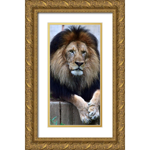 Strength And Dedication Gold Ornate Wood Framed Art Print with Double Matting by DeLuca, Pat