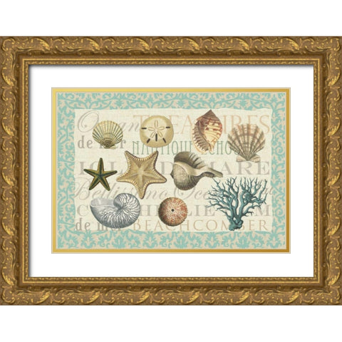 Sea Shell Collection Gold Ornate Wood Framed Art Print with Double Matting by Allen, Candace