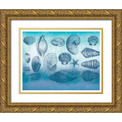 Watercolor Coast Shells Gold Ornate Wood Framed Art Print with Double Matting by Allen, Candace