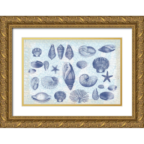 Casual Coastal Shells Gold Ornate Wood Framed Art Print with Double Matting by Lula Bijoux and Company