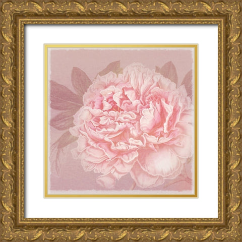 Spring Eden Peony 2 Gold Ornate Wood Framed Art Print with Double Matting by Lula Bijoux and Company
