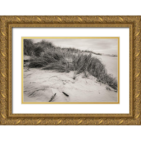 Beachy Dunes Gold Ornate Wood Framed Art Print with Double Matting by Taylor, Glenn