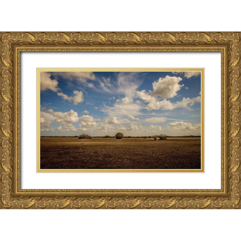 Lonely Earth Gold Ornate Wood Framed Art Print with Double Matting by Taylor, Glenn