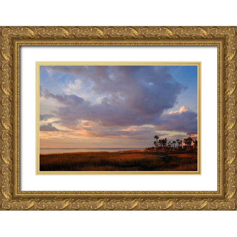 Marsh View Gold Ornate Wood Framed Art Print with Double Matting by Taylor, Glenn